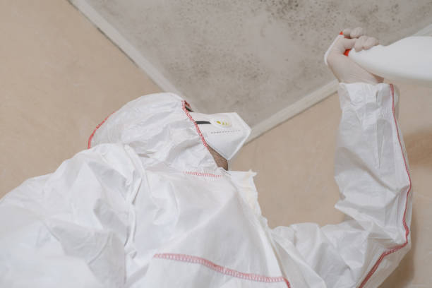 Best Bathroom Mold Remediation in Long Valley, NJ