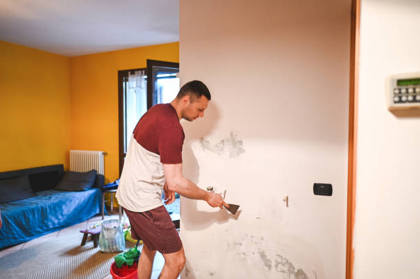 Best DIY Mold Remediation Support Services in Long Valley, NJ